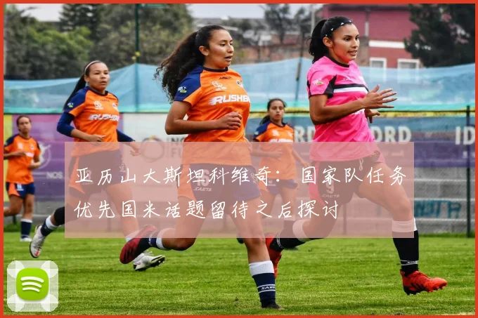 亚历山大斯坦科维奇：国家队任务优先国米话题留待之后探讨