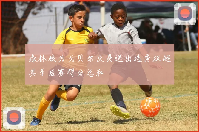 森林狼为戈贝尔交易送出选秀权超其季后赛得分总和